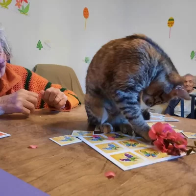 Attività ludiche per anziani a Fusignano